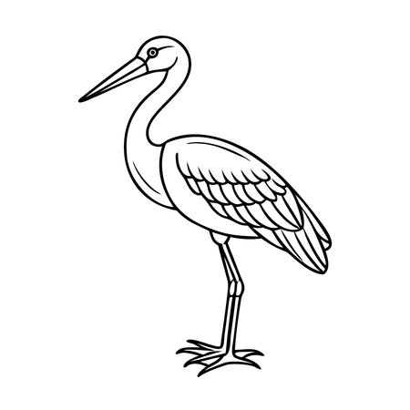 White stork isolated on white background. Stork vector illustration.のイラスト素材