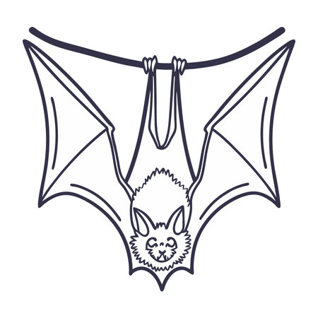 Bat cartoon isolated on white background. Vector illustration of a cute bat.のイラスト素材