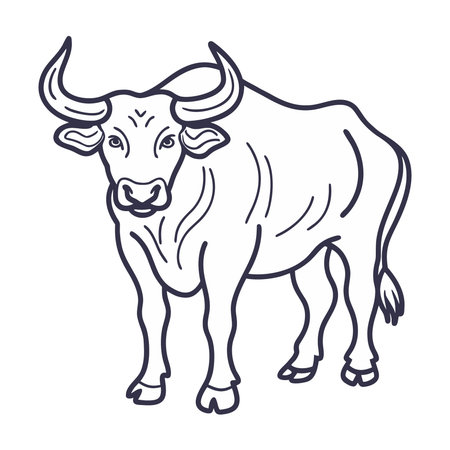 Bull cartoon isolated on white background. Vector illustration of a bull.のイラスト素材