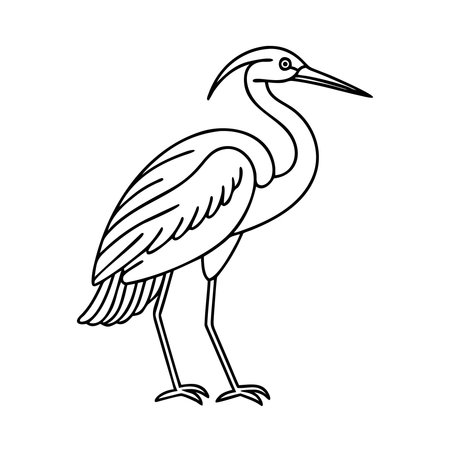 Vector image of a heron on a white background. Side view.のイラスト素材