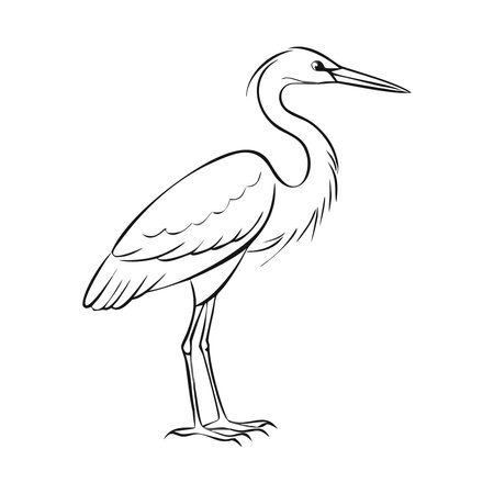 Vector image of a heron on a white background. Side view.のイラスト素材