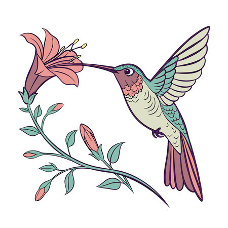 Hummingbird cartoon icon vector illustration graphic design vector illustration graphic designのイラスト素材