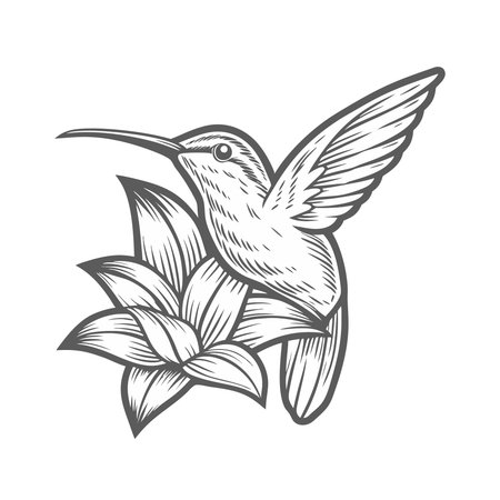 Hummingbird cartoon icon vector illustration graphic design vector illustration graphic designのイラスト素材