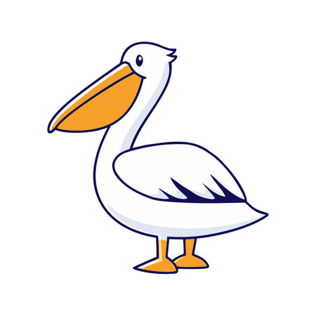 Pelican isolated on white background. Vector illustrationのイラスト素材