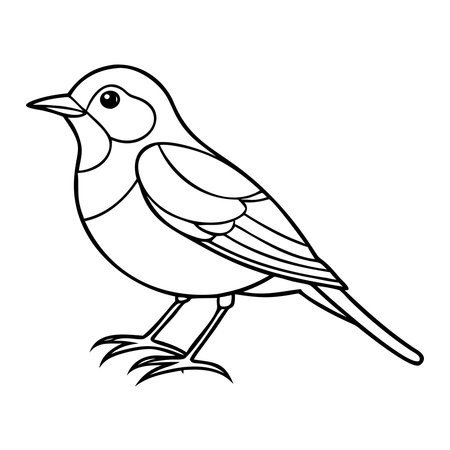cute little robin cartoon vector illustration graphicのイラスト素材