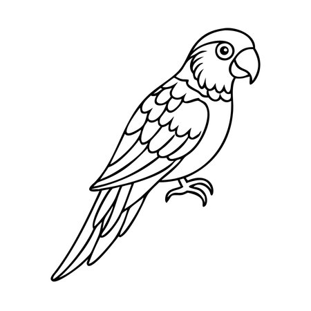 Parrot isolated on white background. Vector illustration in outline style.のイラスト素材