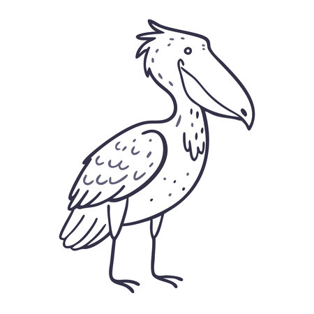 shoebill isolated on white background. Vector illustration in sketch style.のイラスト素材