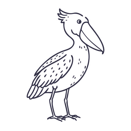 shoebill isolated on white background. Vector illustration in sketch style.のイラスト素材
