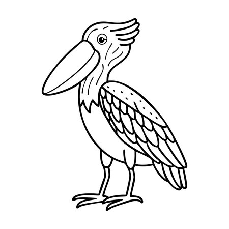 shoebill isolated on white background. Vector illustration in sketch style.のイラスト素材