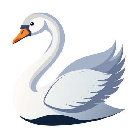 Swan with wings. Vector illustration of a swan on a white background.のイラスト素材