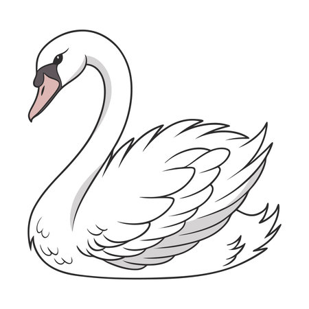 Swan with wings. Vector illustration of a swan on a white background.のイラスト素材