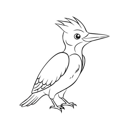 Great spotted woodpecker, Dendrocopos major, vector illustrationのイラスト素材