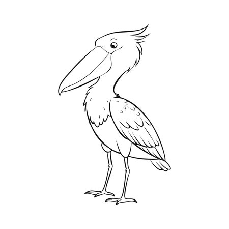 Pelican vector illustration. Hand drawn pelican isolated on white background.のイラスト素材