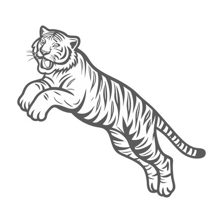 Vector illustration of a tiger running isolated on white background. Cartoon style.のイラスト素材
