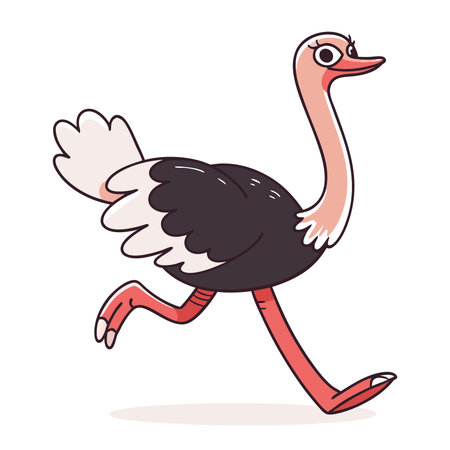 Ostrich. Vector illustration of an ostrich isolated on white background.のイラスト素材
