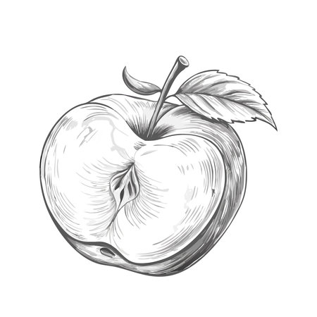 an apple isolated on white background. Vector illustration in cartoon style.のイラスト素材