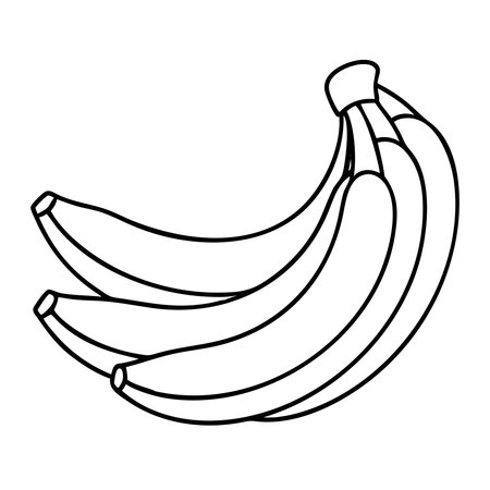 Bananas on a white background, vector illustrationのイラスト素材