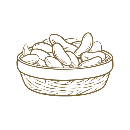 Pistachio nuts in a basket. Vector hand drawn illustrationのイラスト素材