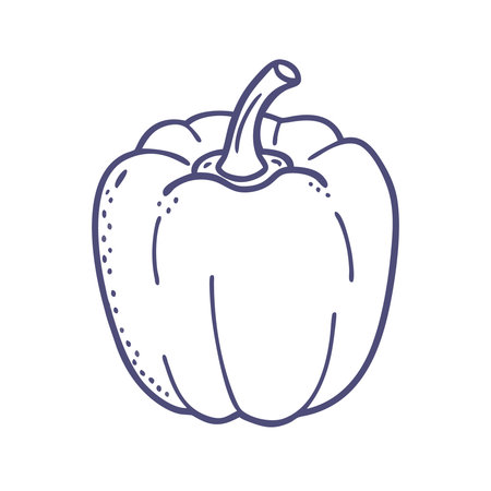 Bell pepper thin line icon. Vector illustration of a bell pepper.のイラスト素材