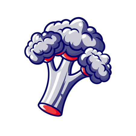 Broccoli icon. Cartoon illustration of broccoli vector icon for web designのイラスト素材