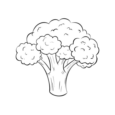 Broccoli doodle icon. Vector illustration of a broccoli.のイラスト素材