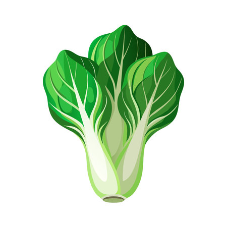 Bok choy vegetable isolated on white background. Vector illustration.のイラスト素材