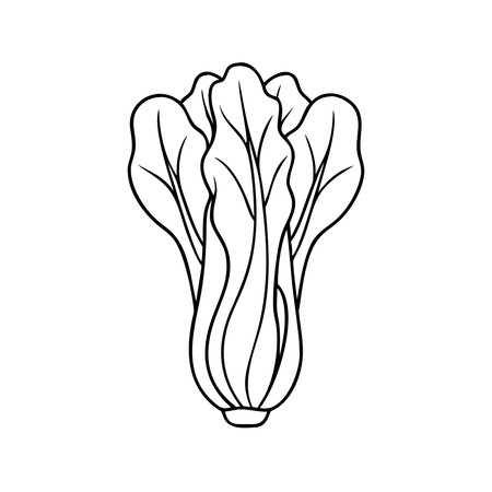 chinese cabbage vegetable icon over white background, line style, vector illustrationのイラスト素材
