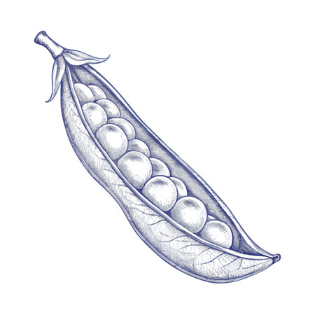 peas icon design, vector illustration eps10 graphic flat styleのイラスト素材