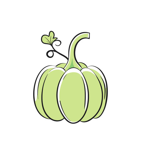 pumpkin vegetable icon over white background. colorful design. vector illustrationのイラスト素材