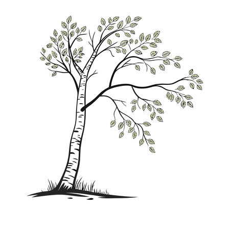 Tree with leaves. Black and white vector illustration isolated on white background.のイラスト素材