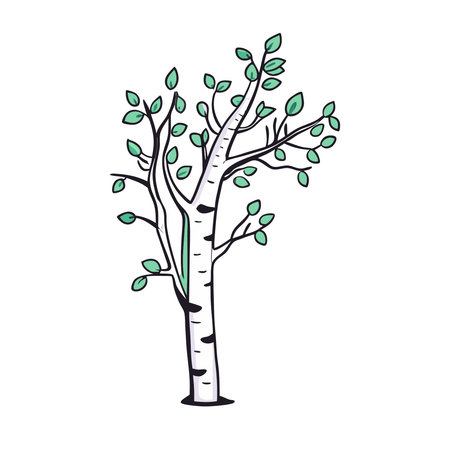 tree with leaves icon over white background, colorful design. vector illustrationのイラスト素材