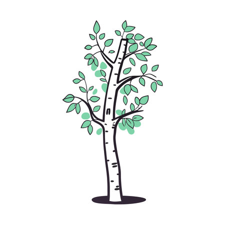 tree with leaves icon over white background. colorful design. vector illustrationのイラスト素材