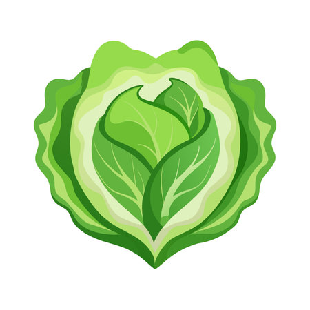 Cabbage leaf icon in cartoon style on a white background vector illustrationのイラスト素材