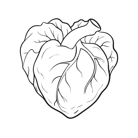 Vegetables. Cabbage. Black and white vector illustration.のイラスト素材