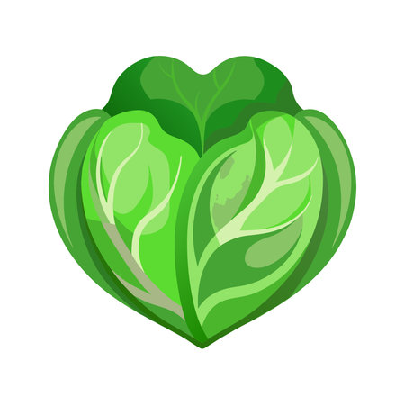 Lettuce icon. Cartoon illustration of lettuce vector icon for web designのイラスト素材
