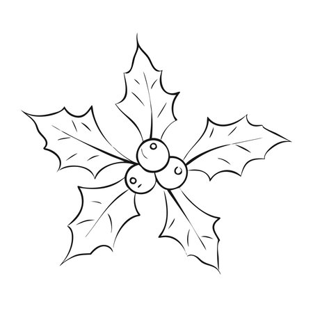 Holly berry icon. Outline illustration of holly berry icon for webのイラスト素材