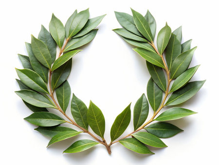 Laurel wreath isolated on white background. Top view.の写真素材