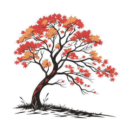 Autumn tree with red and orange leaves on white background. Vector illustration.のイラスト素材