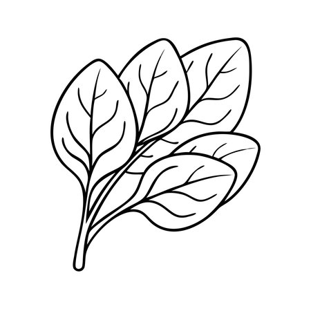 branch with leaves ecology isolated icon line style vector illustration designのイラスト素材