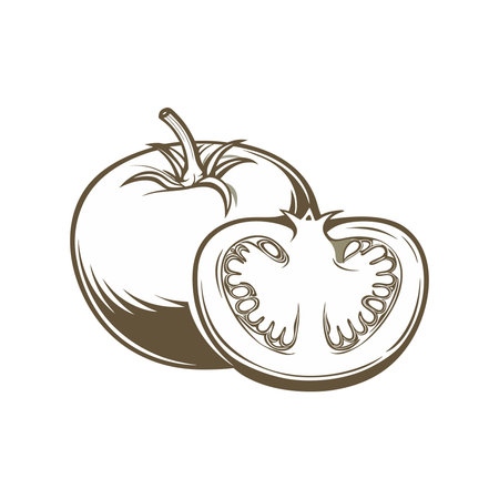 Tomato. Vector illustration. Isolated on a white background.のイラスト素材