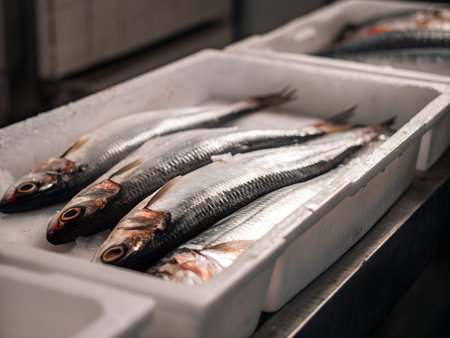 Fresh herring on ice in the fish market. Selective focus.の写真素材