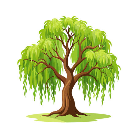 Cartoon green tree isolated on white background. Vector illustration. Eps 10のイラスト素材