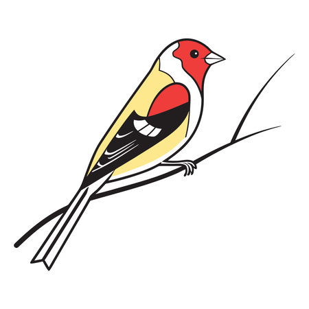 Goldfinch isolated on white background. Vector illustration in cartoon style.のイラスト素材