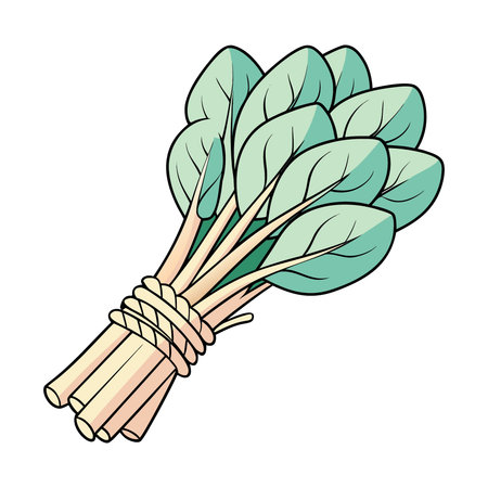 Spinach icon. Vegetable healthy organic and market theme. Isolated design. Vector illustrationのイラスト素材