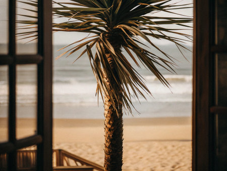 Palm tree on the background of the sea and the beach.の写真素材
