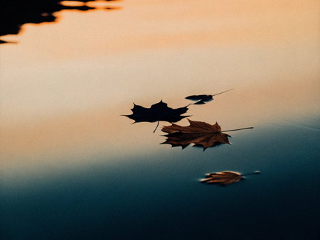 Autumn leaves floating on the water in the lake. Autumn background