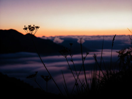 Sunrise over the sea of fog at Khao Kho, Phetchabun, Thailand
