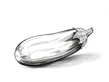 Illustration of eggplant on white background. Hand drawn sketch.の写真素材
