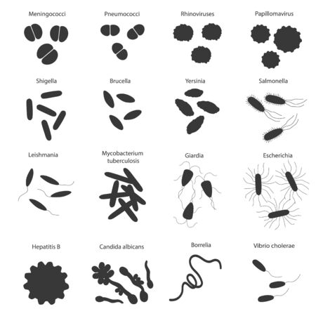 Big black set with different dangerous viruses and germs with its names. Vector illustration for education on microbiologyのイラスト素材