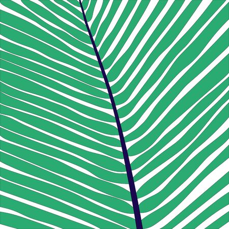 Modern colorful background with palm leaf. Scandinavian illustration for print and web design. Vectorのイラスト素材